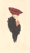 LADYFASHIION HAT.jpg (14339 bytes)