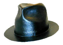 Explorer Fedora front from side.JPG (14500 bytes)